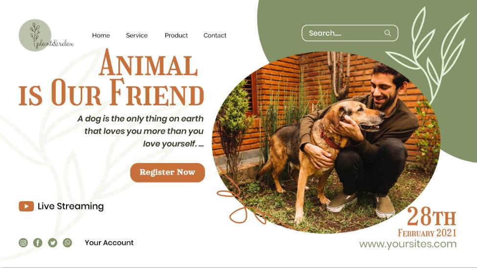 宠物狗网站设计模板0