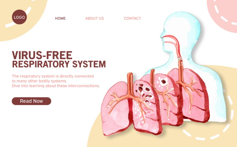 呼吸系统医疗网页模板0