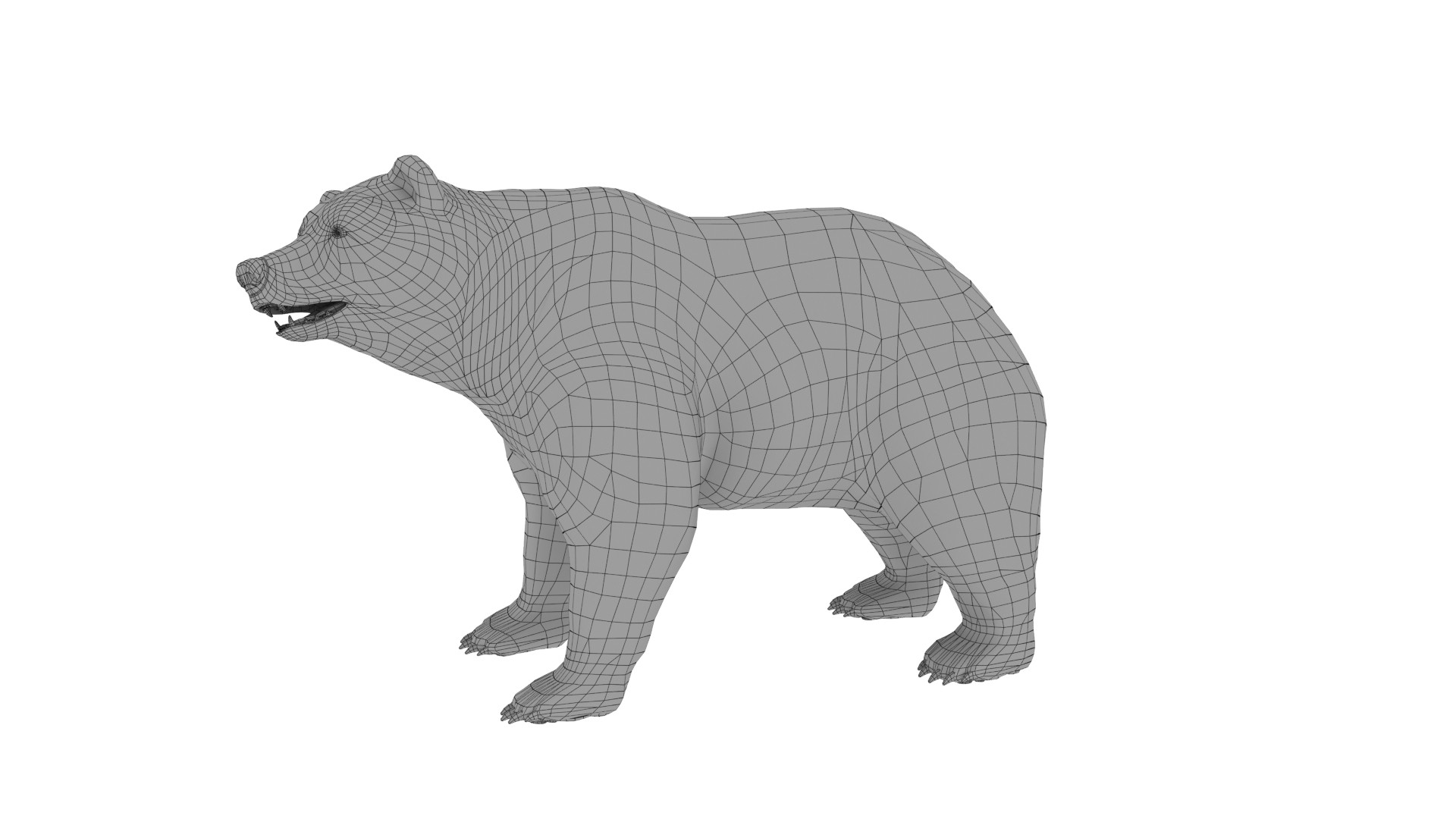 3D北极熊模型1