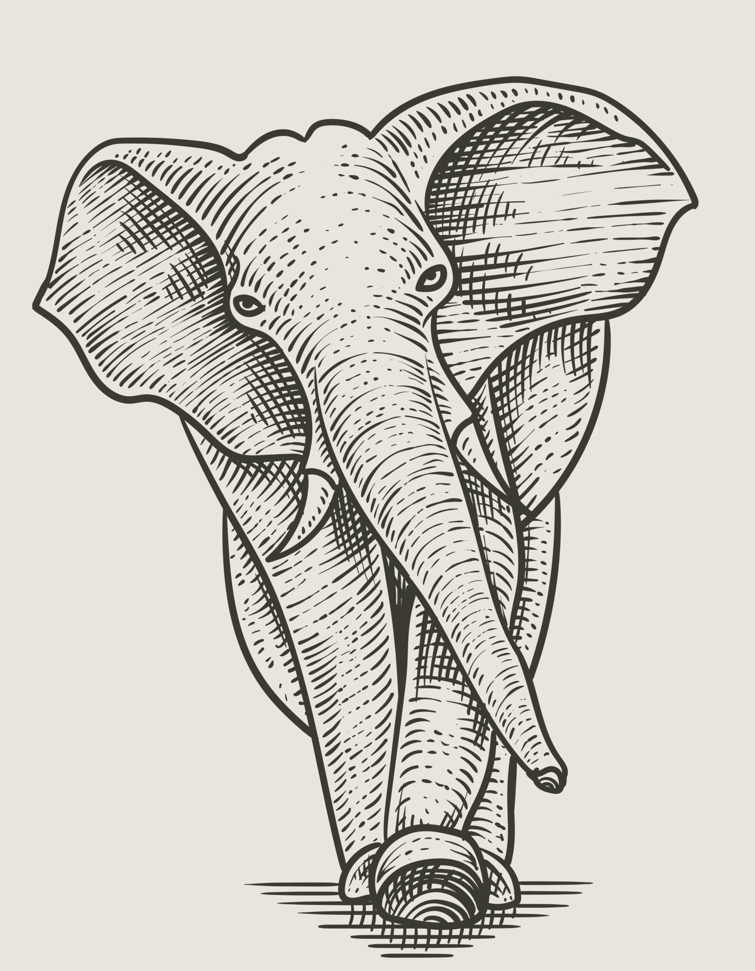 复古大象雕刻风格插图0