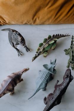 纸上的恐龙玩具