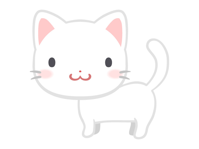 白色小猫插图0