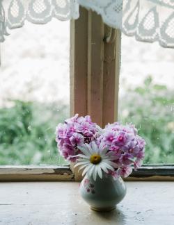 窗台上的花瓶