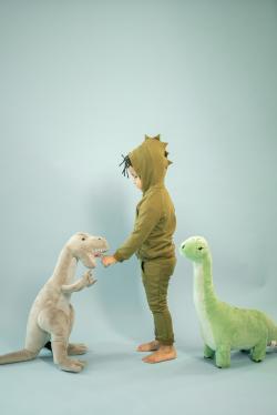 孩子与恐龙玩偶