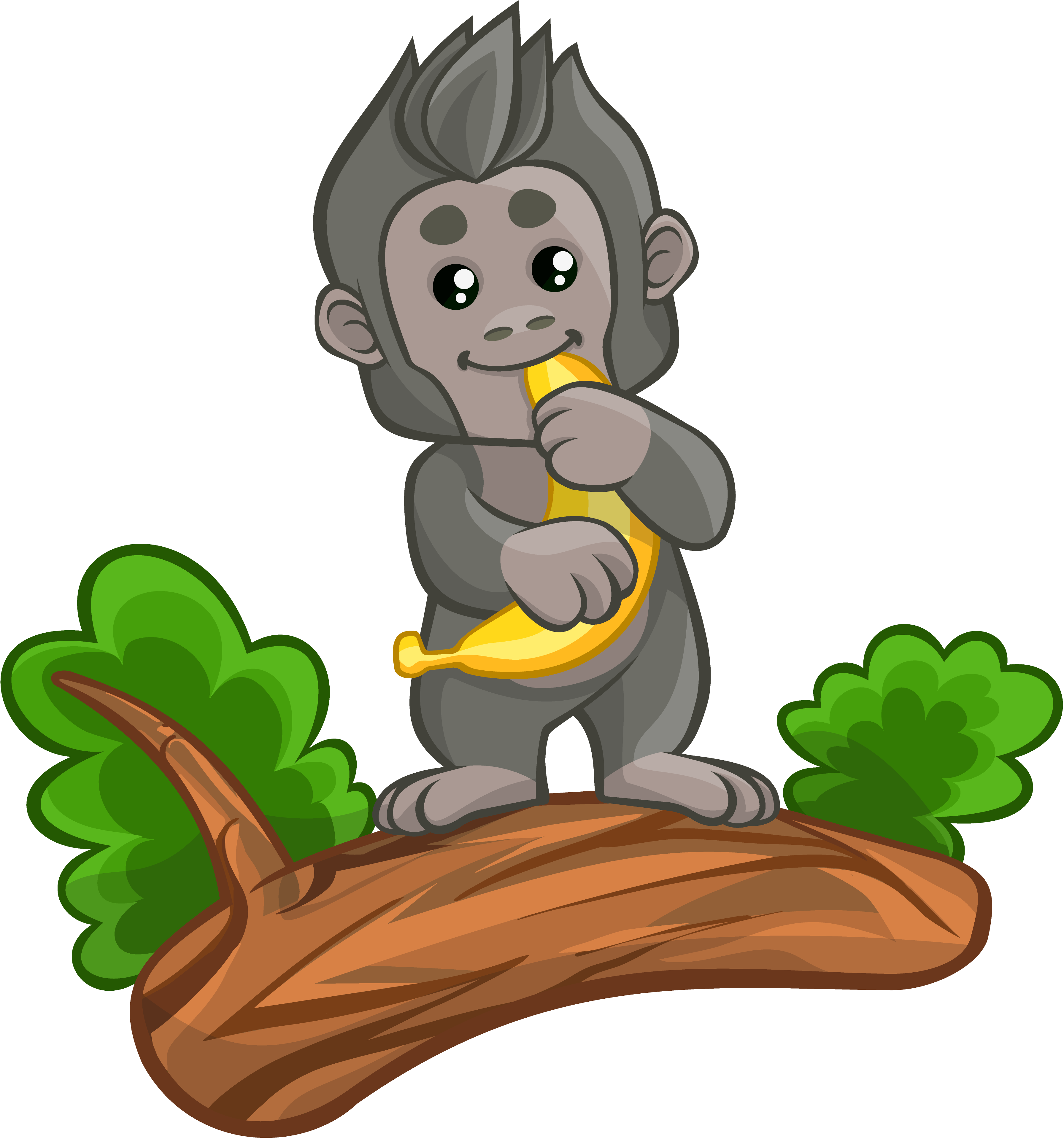 在树上吃香蕉的猩猩插图0