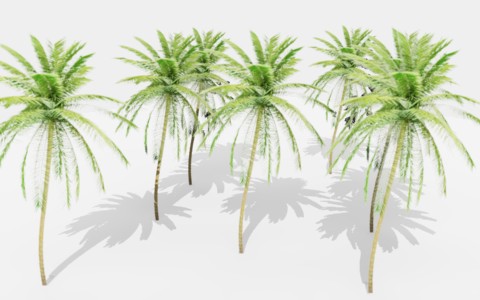 椰子树模型制作0