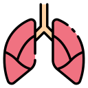肺部图标0