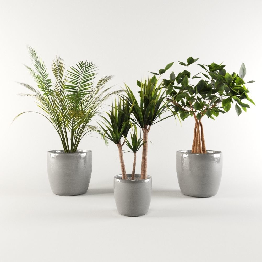 三种不同的盆栽模型3