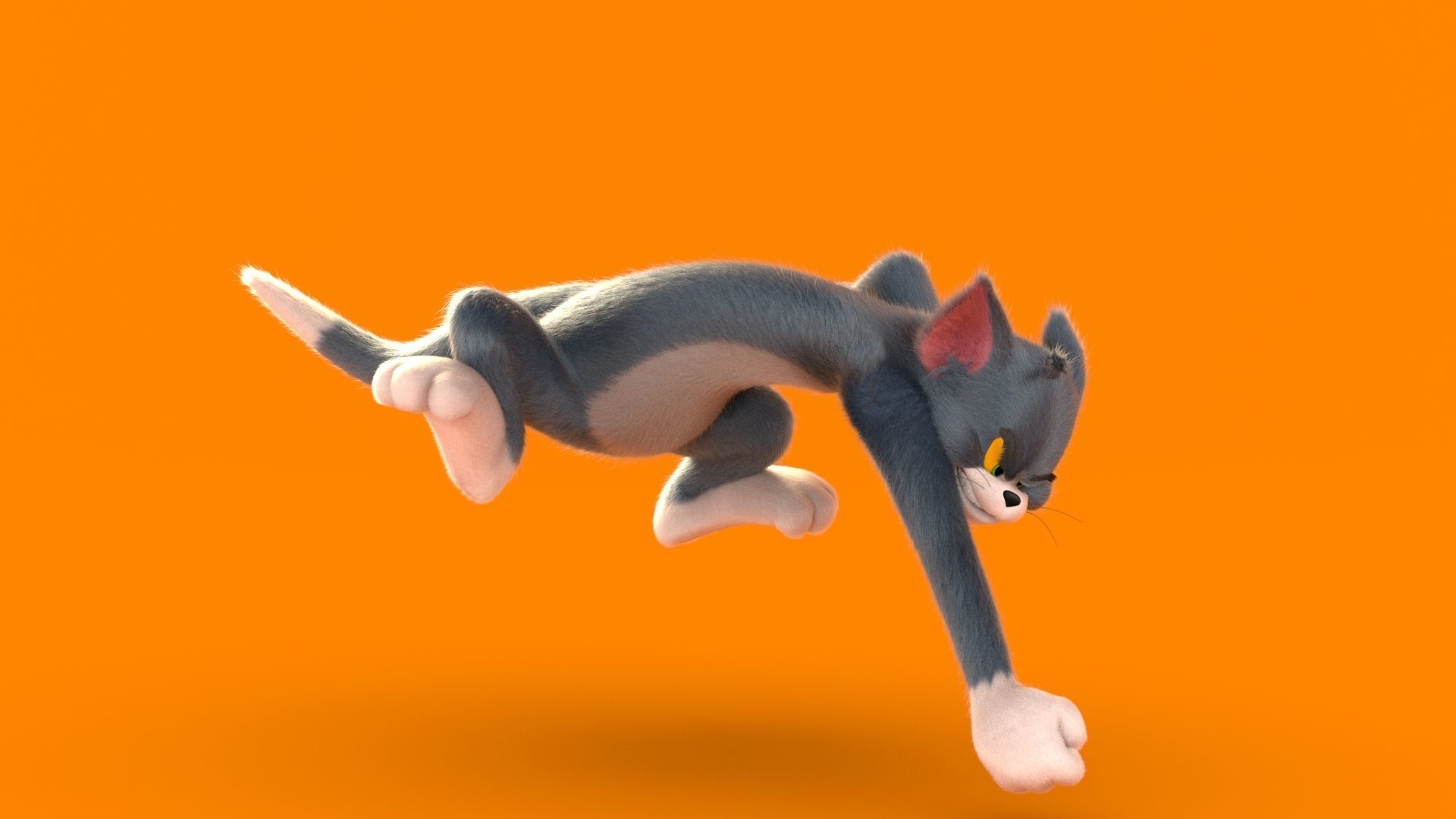 猫和老鼠汤姆猫3D模型1