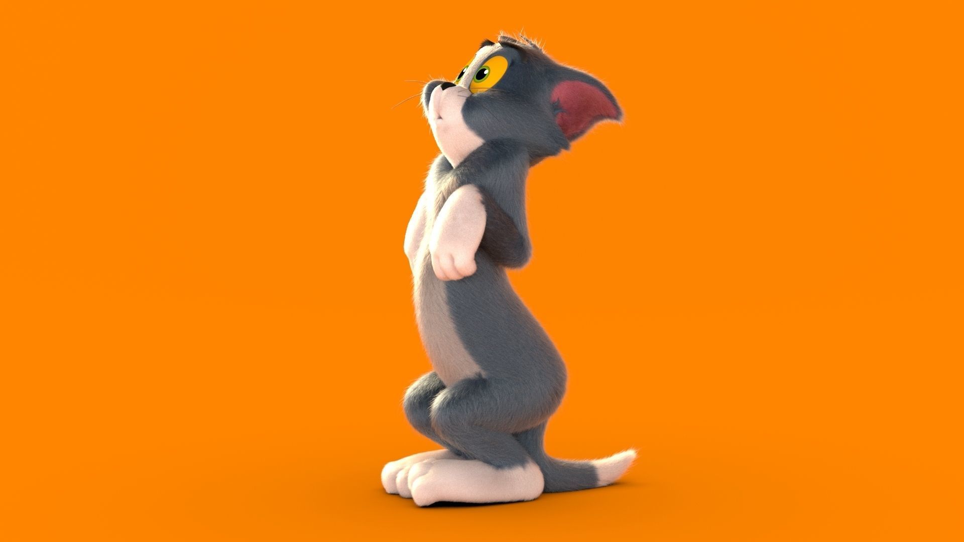 猫和老鼠汤姆猫3D模型0