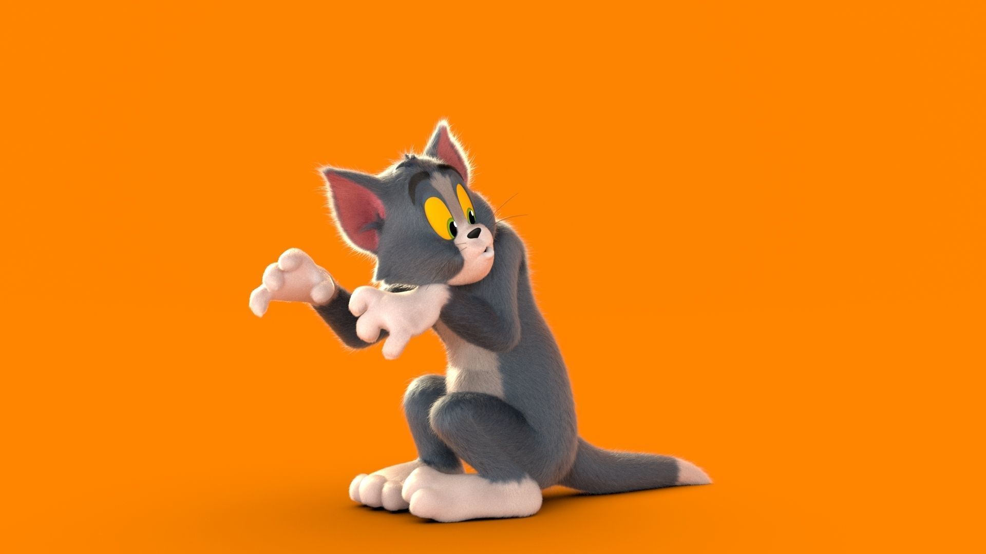 猫和老鼠汤姆猫3D模型5