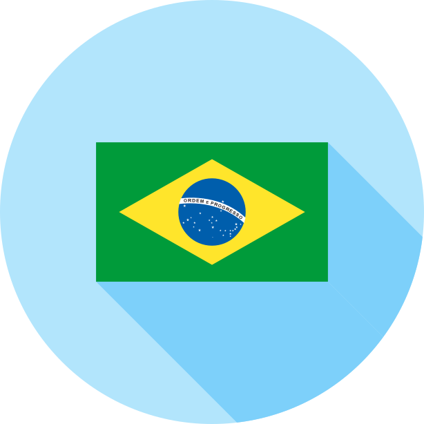 巴西国旗图标0