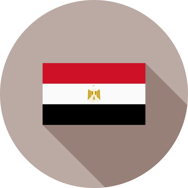 埃及国旗图标0