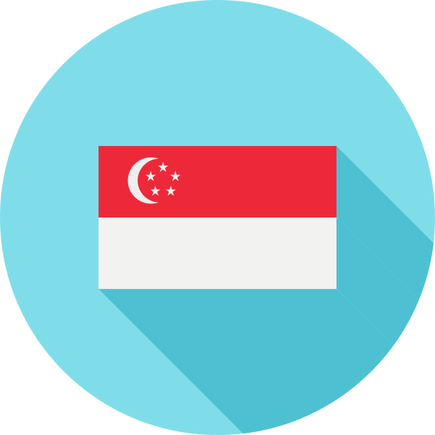 新加坡国旗图标0