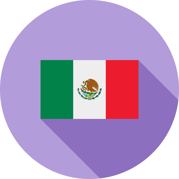墨西哥国旗插图0