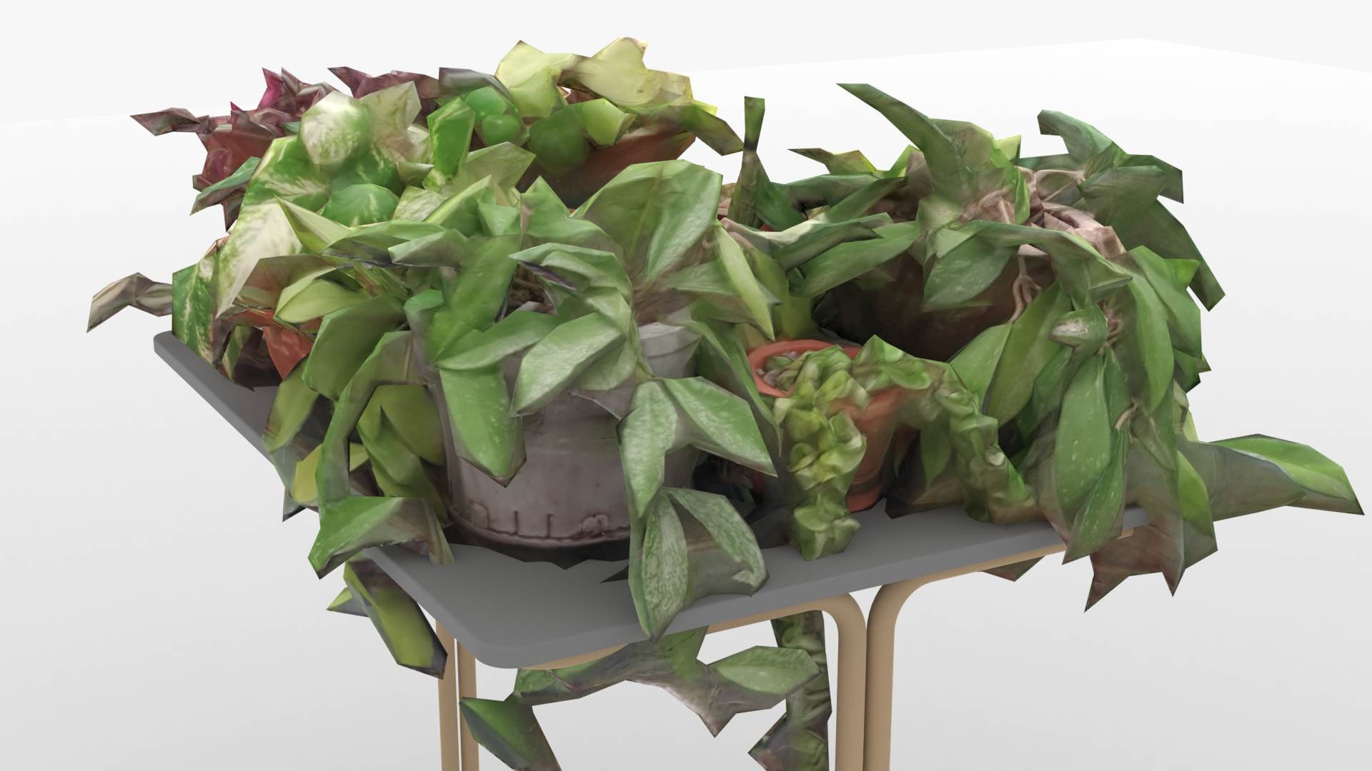盆栽植物模型0