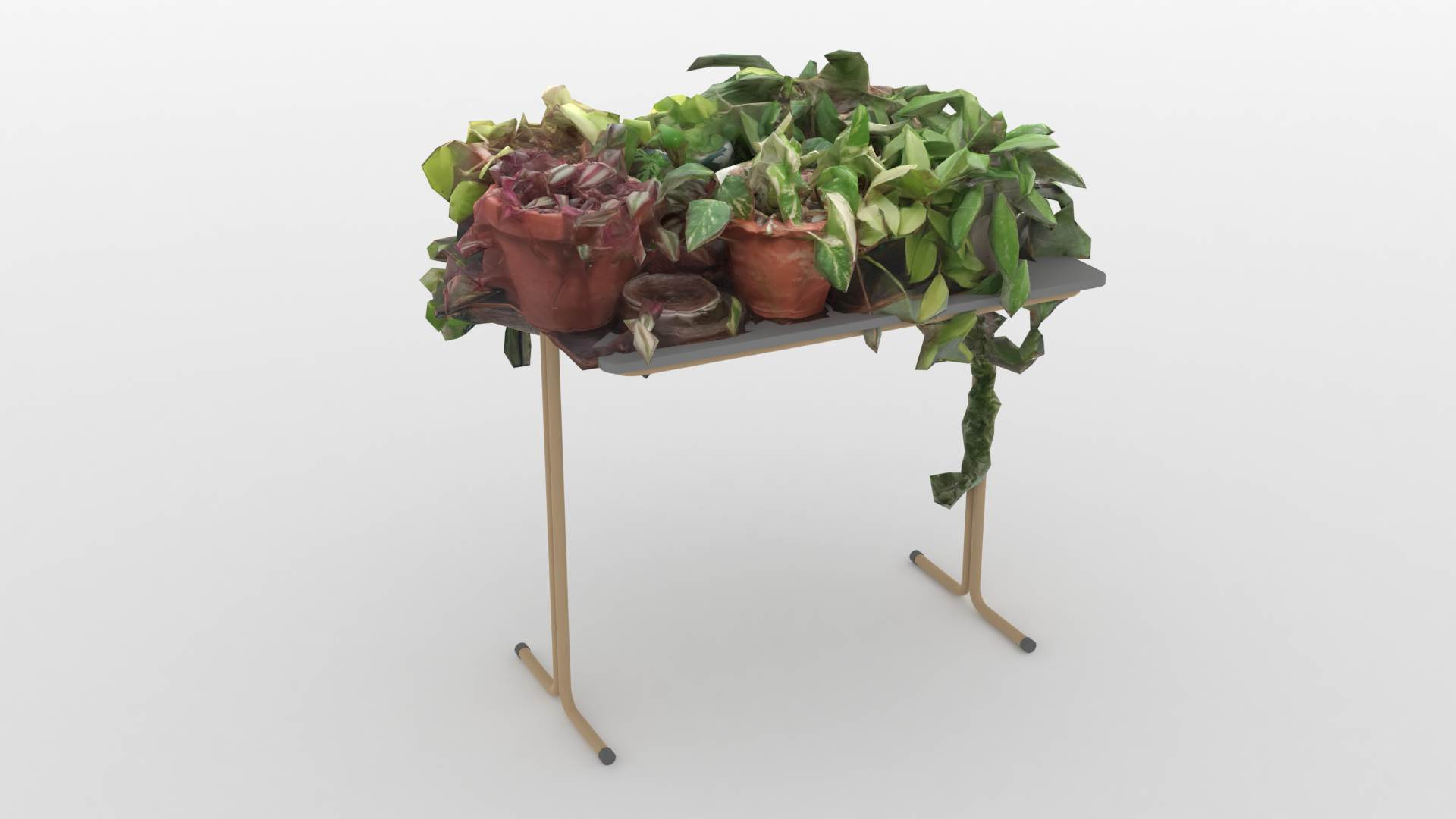 盆栽植物模型3