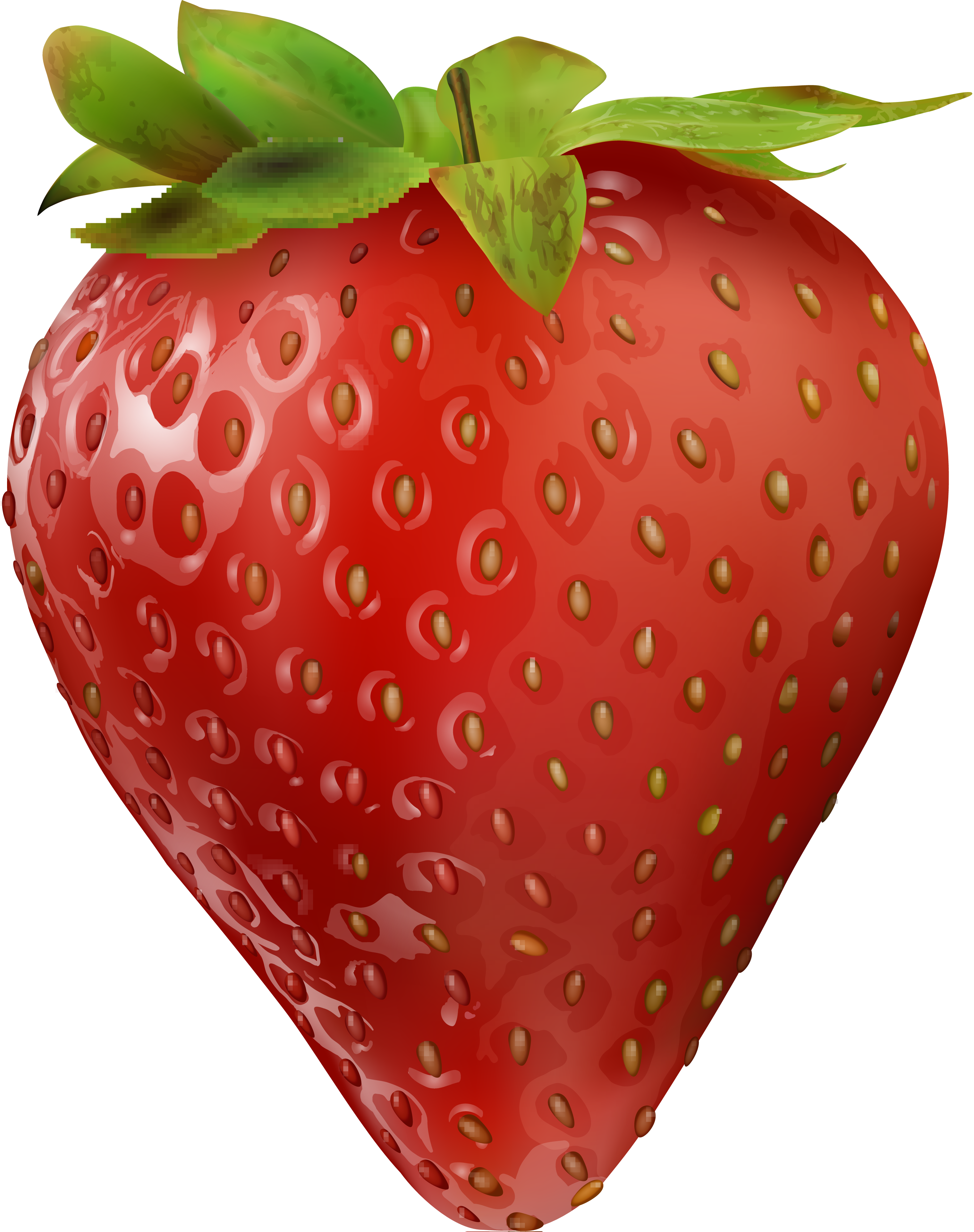 写实草莓插图0