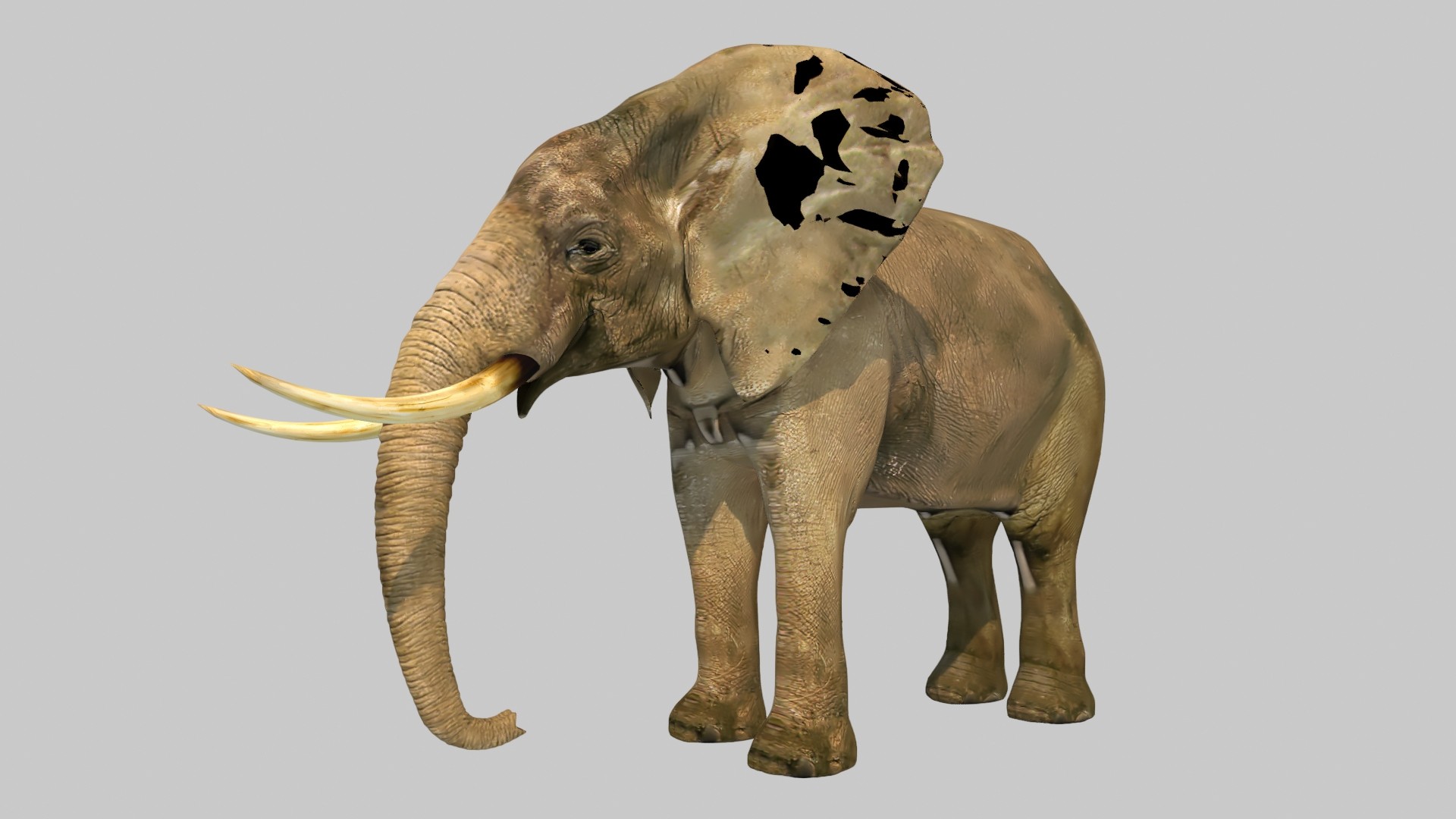 大象模型立体2