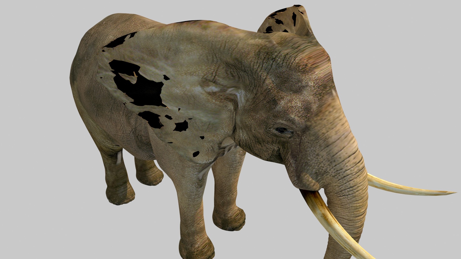 大象模型立体1