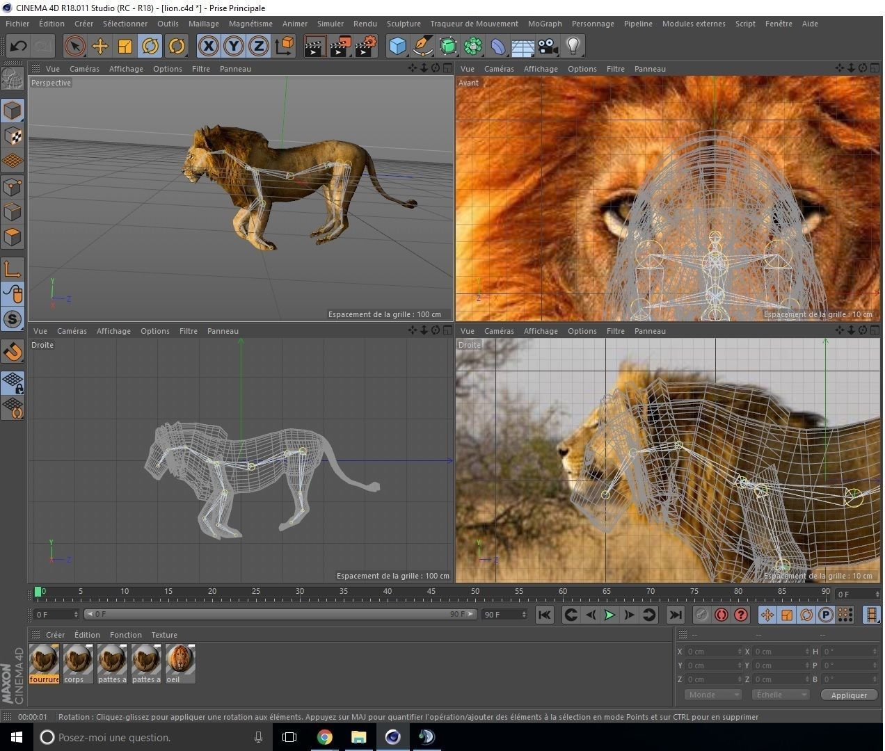 狮子3D模型1