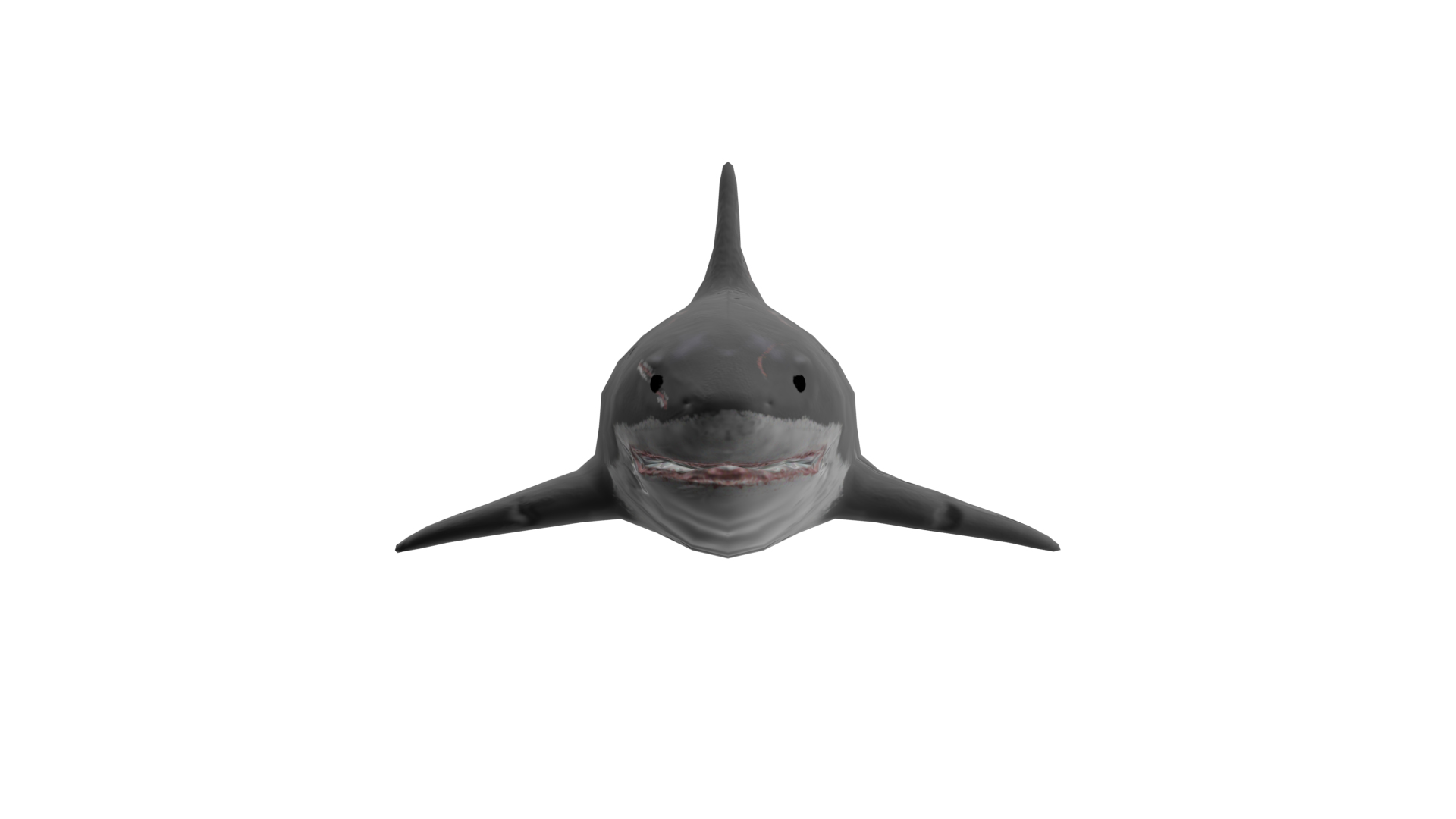 大白鲨模型0