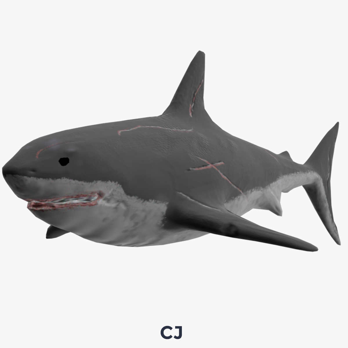 大白鲨模型1