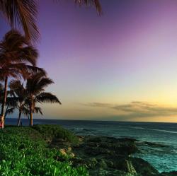 夏威夷海岛景观