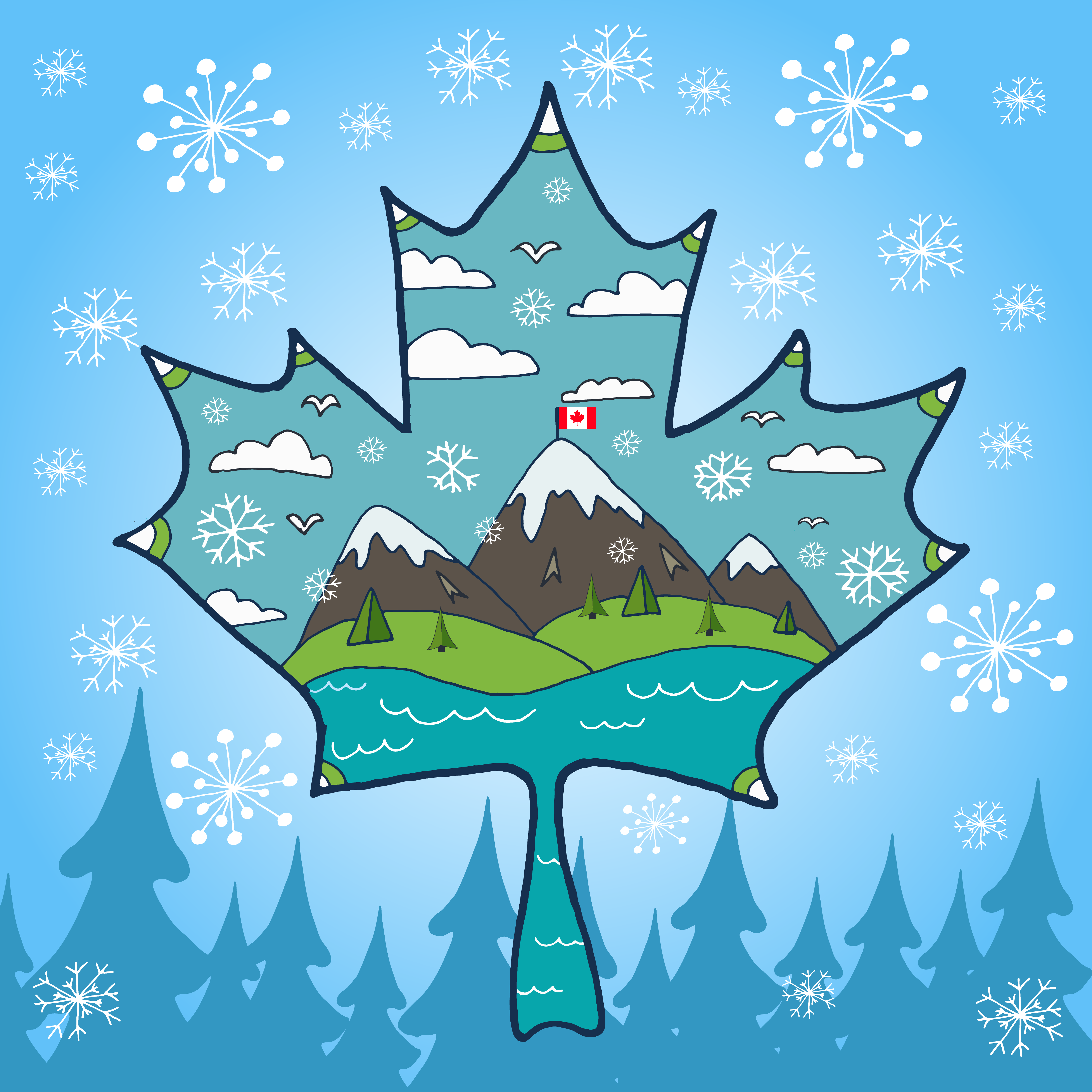 加拿大枫叶插图0