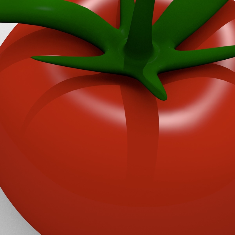 番茄小模型3