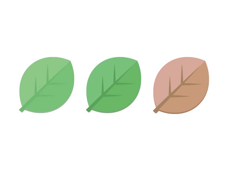 椭圆形绿色树叶图标0