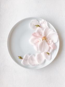 白色桌面上的一盘花瓣