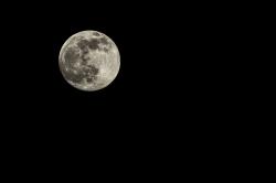 夜空中的满月图片素材,高清图片素材