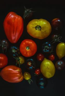大大小小的各种番茄西红柿