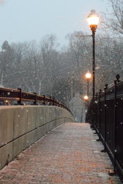 下雪天的桥