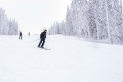 冬奥会双板滑雪