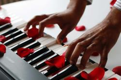 洒满玫瑰花瓣的钢琴键盘