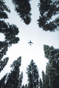 森林上空的飞机