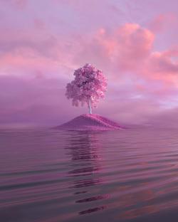 粉色小岛长出粉色的树