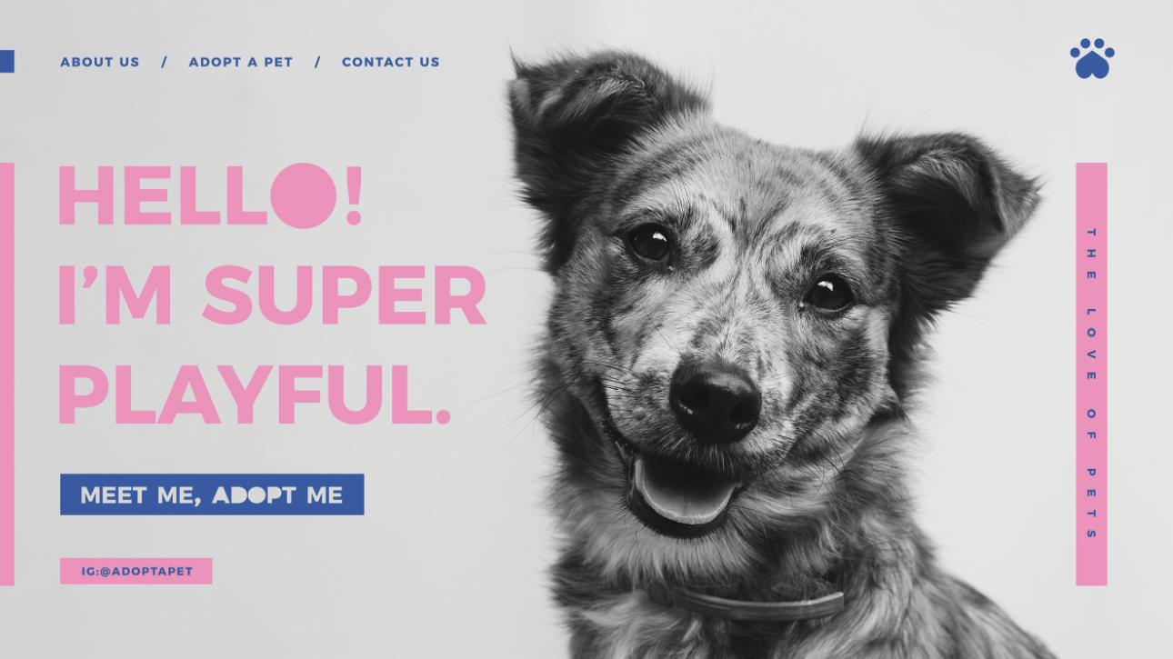宠物狗领养网站首页设计模板0