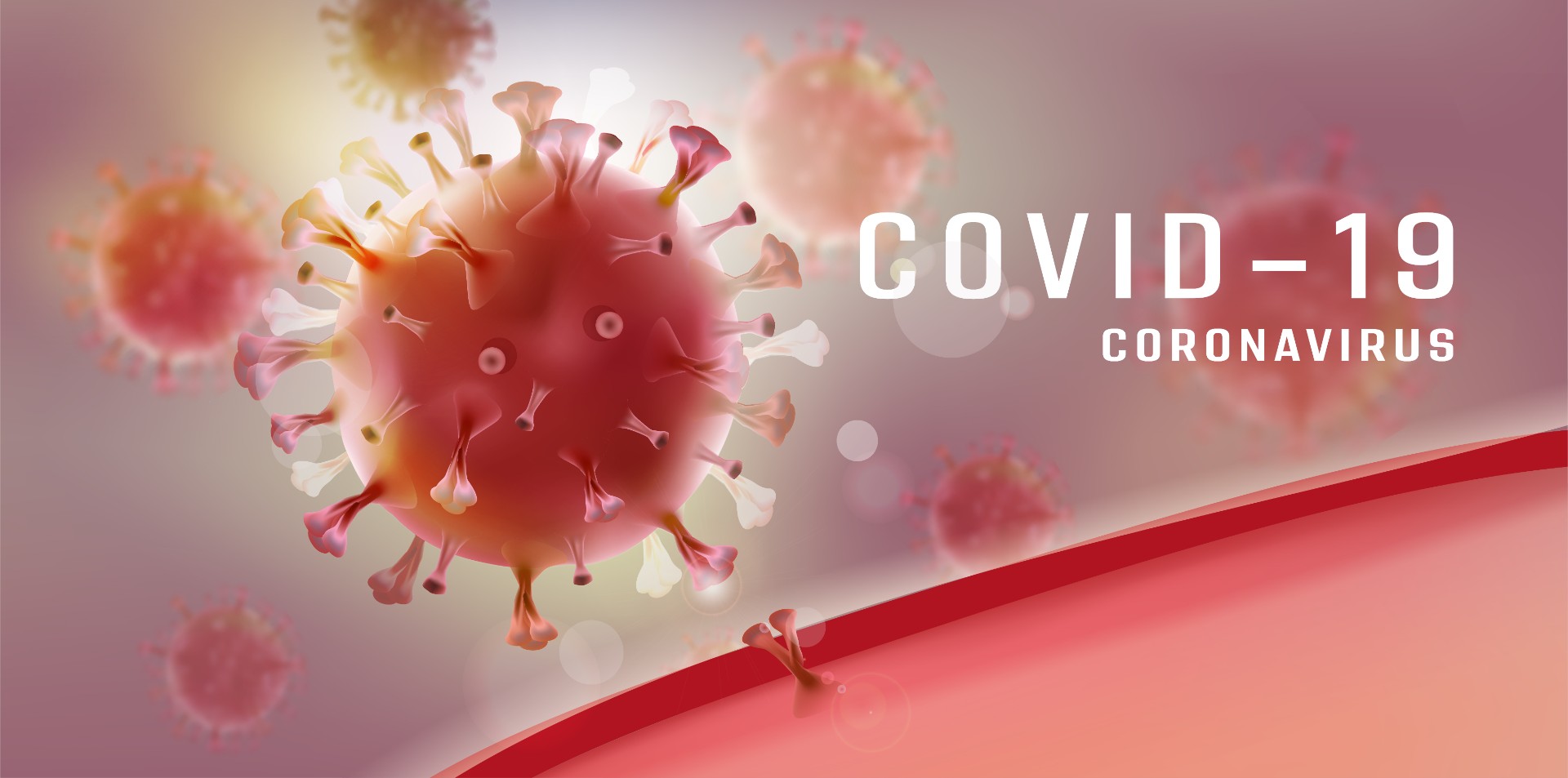红色冠状病毒Covid 19细胞插图0