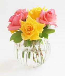玻璃花瓶里的玫瑰花