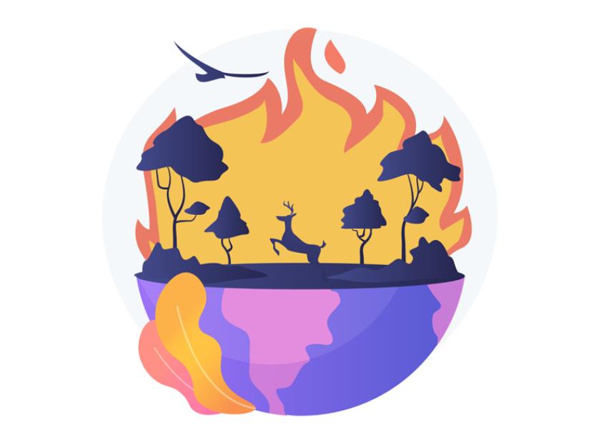 保护森林预防火灾插画0
