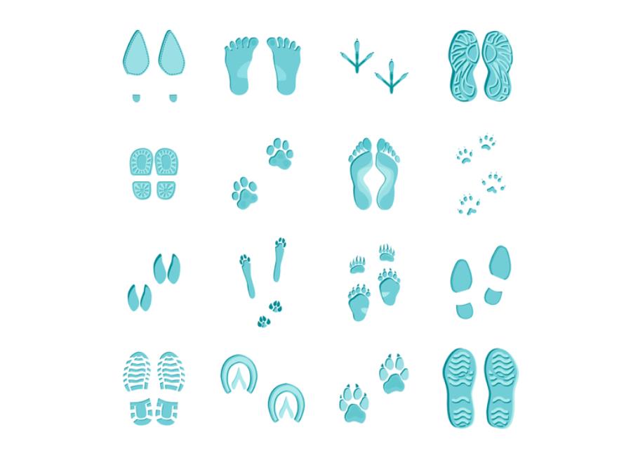 各种人和动物的脚印矢量图标0