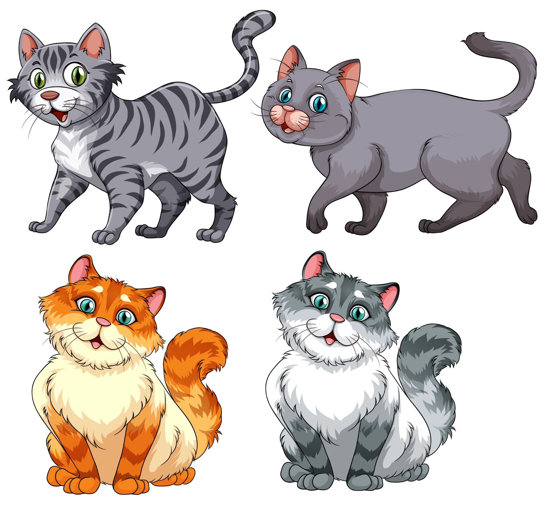 不同种类的猫插图0
