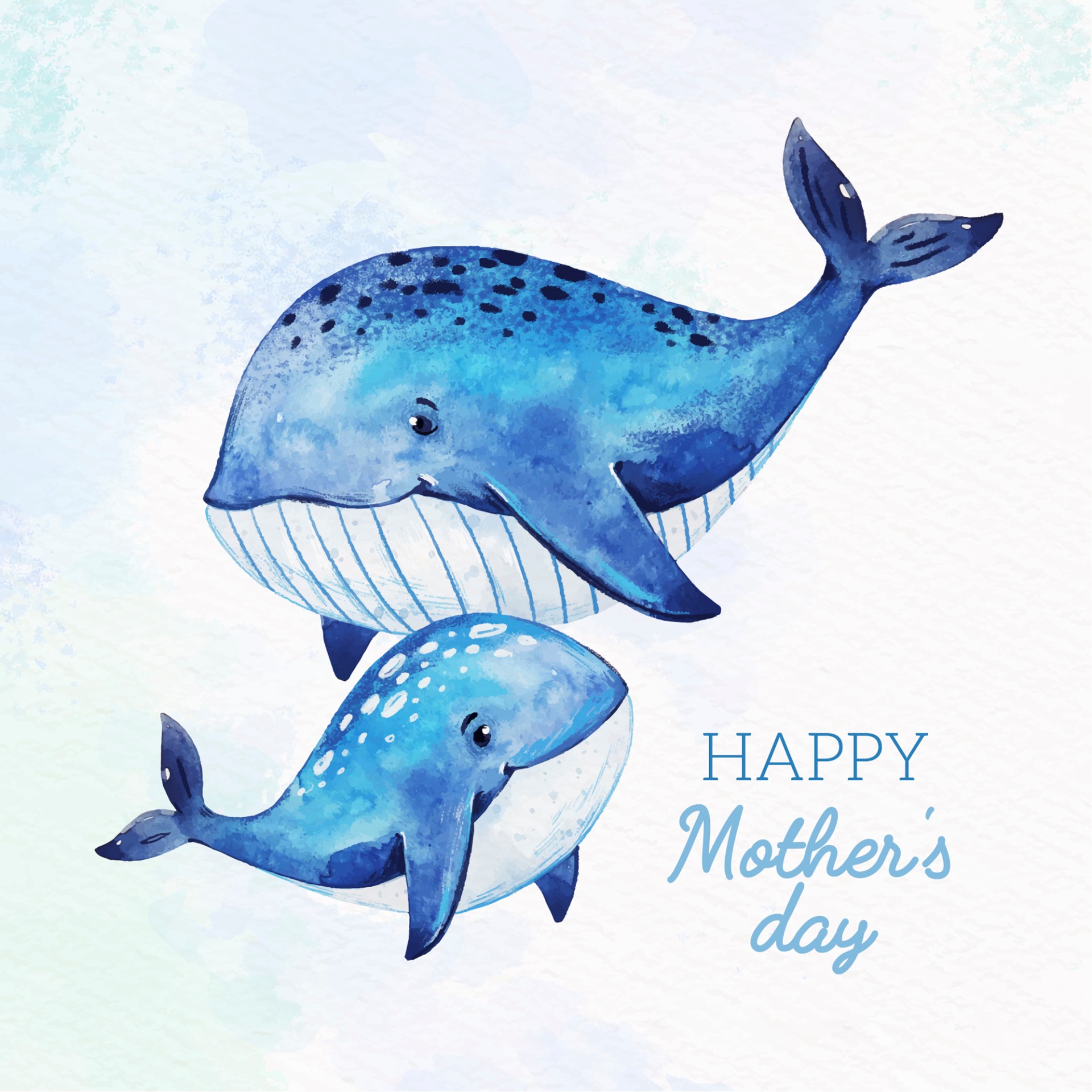 母亲节鲸鱼妈妈和小鲸鱼水彩插画0