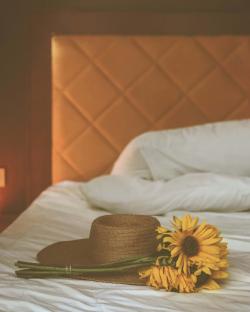 床上的帽子和向日葵