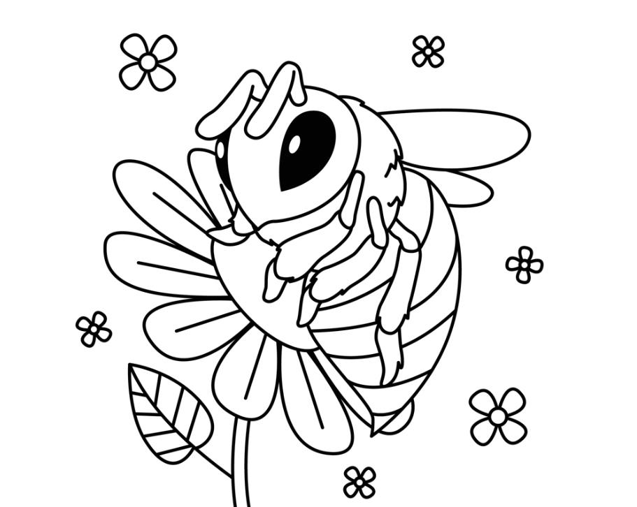 蜜蜂采蜜简笔画0