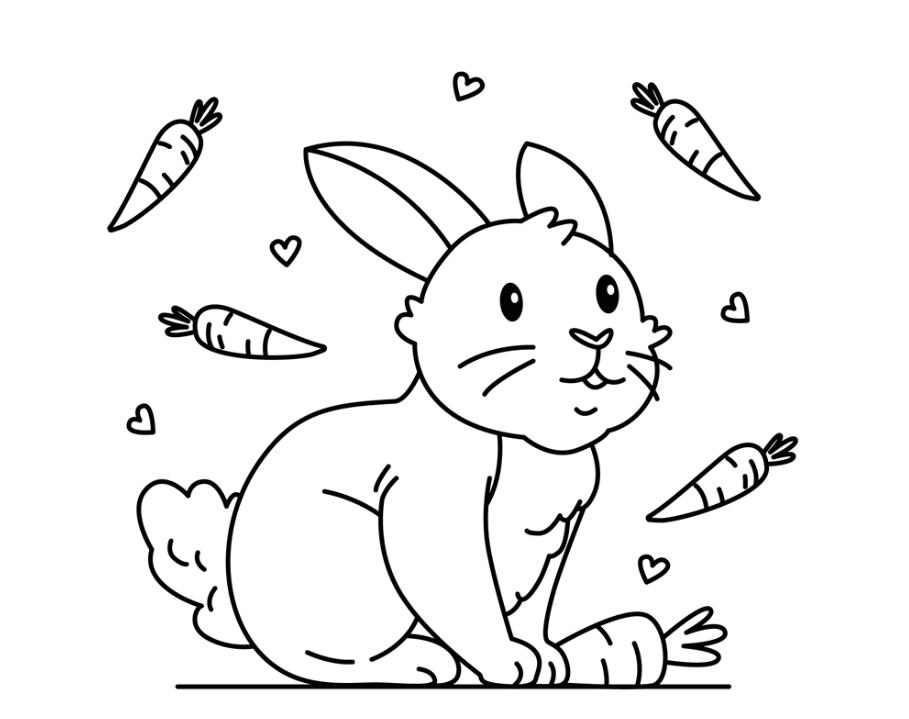 兔子和胡萝卜简笔画0