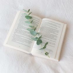 清新绿色植物和一本书图片素材,高清图片素材